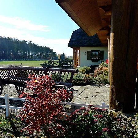 Dworek Pod Wiecha Kaweczyn  Extérieur photo